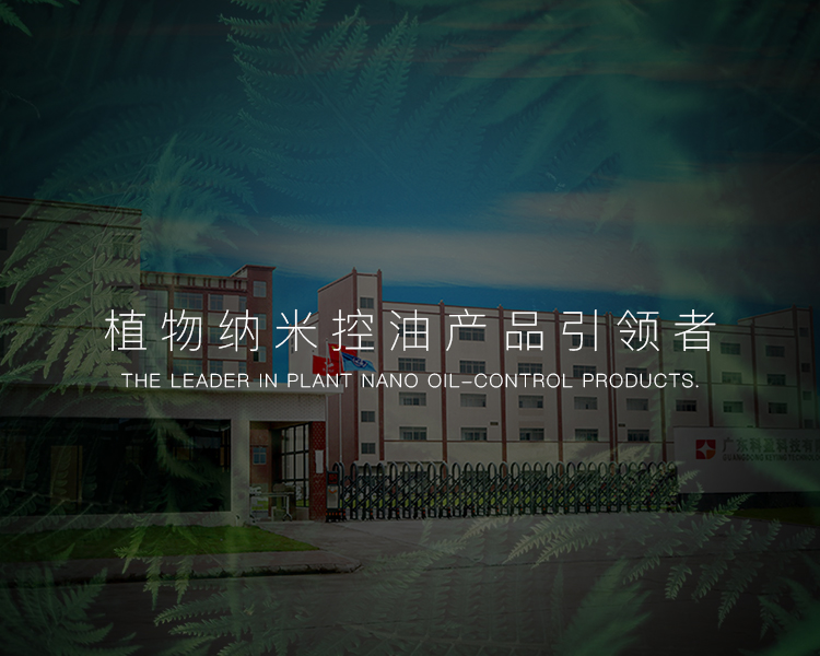 關于科盈